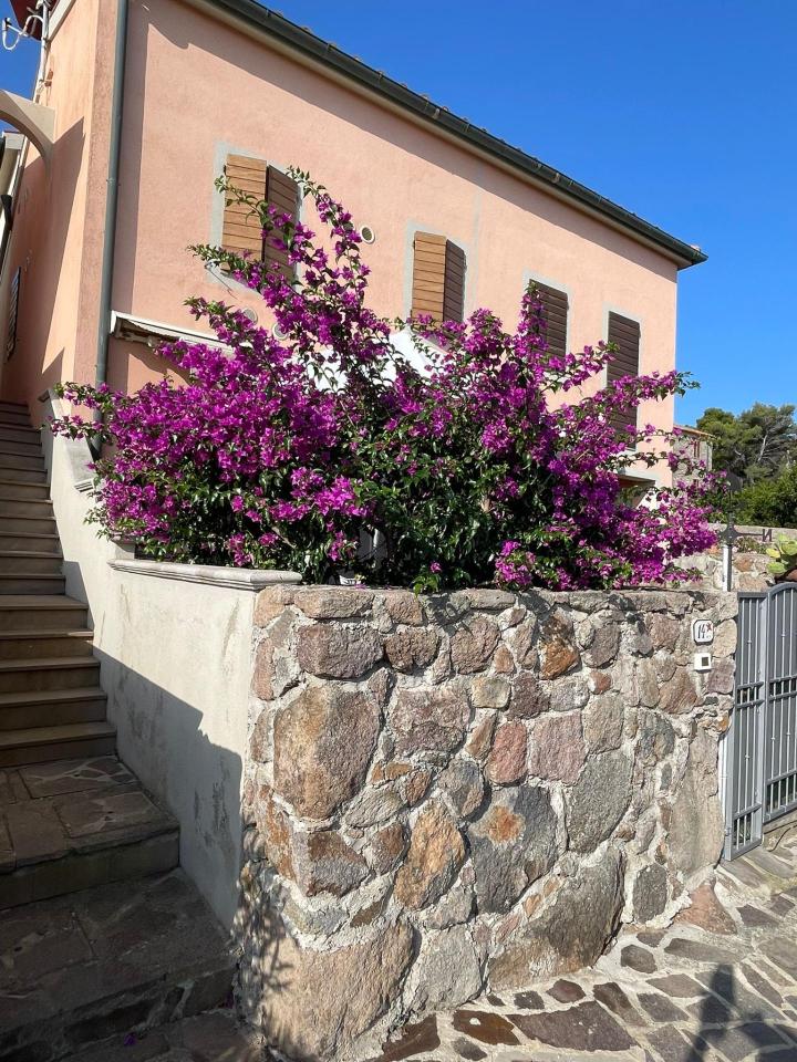 Villa a schiera in vendita a Capraia Isola
