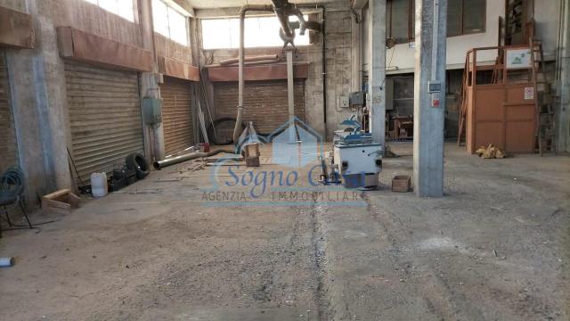 Industrial shed, Luni - Photo 1