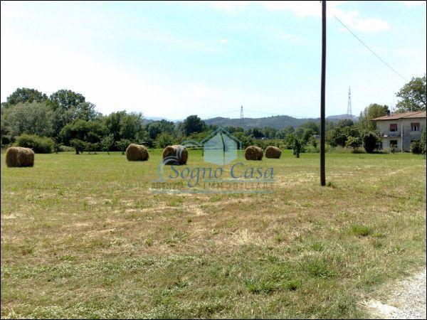 Agricultural land, Sarzana - Photo 1