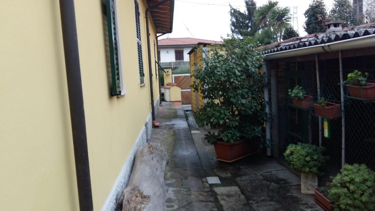 immagine annuncio 7 di 15