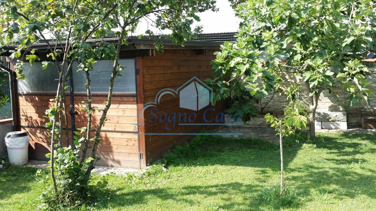 immagine annuncio 5 di 15