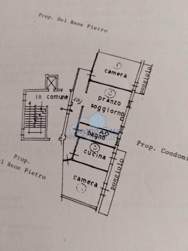 immagine annuncio 12 di 15