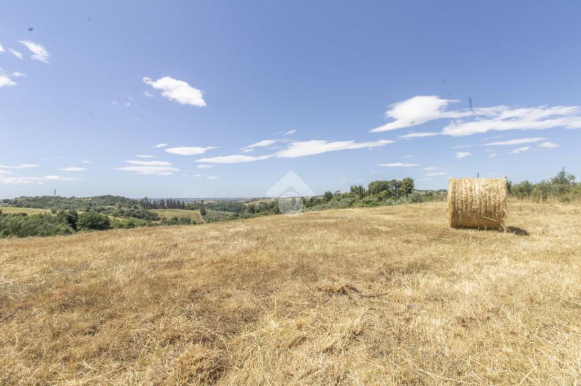 Terreno agricolo in vendita a Castelnuovo Di Porto