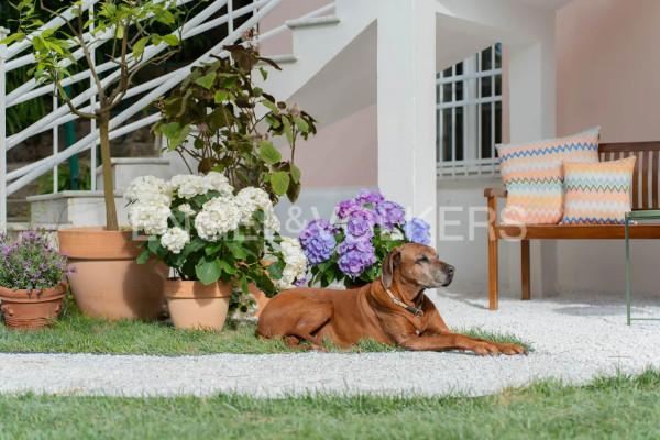 immagine annuncio 9 di 11