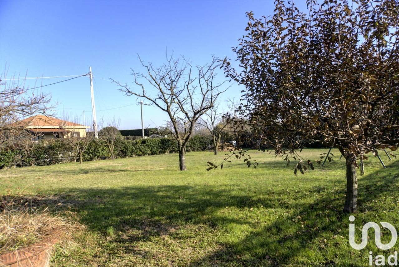 immagine annuncio 4 di 13