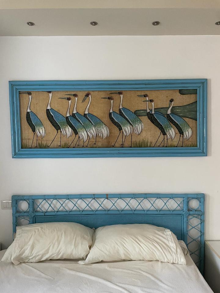 immagine annuncio 9 di 14