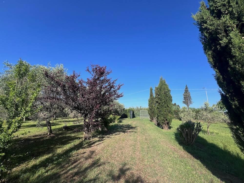 immagine annuncio 6 di 9