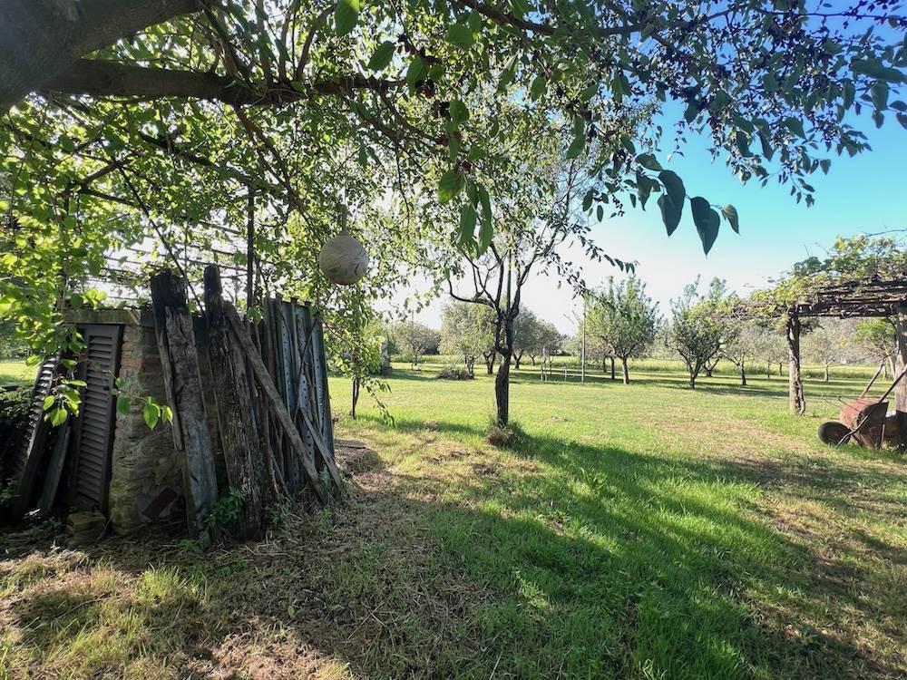 immagine annuncio 4 di 9