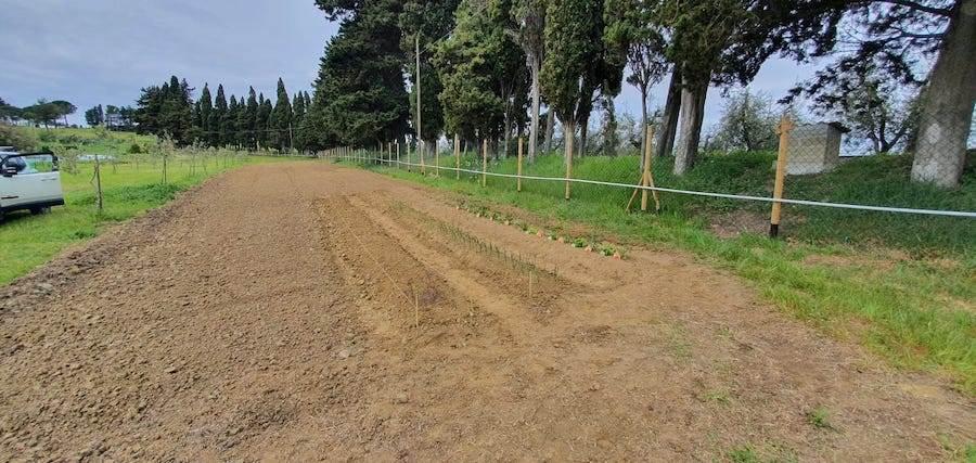 immagine annuncio 5 di 10