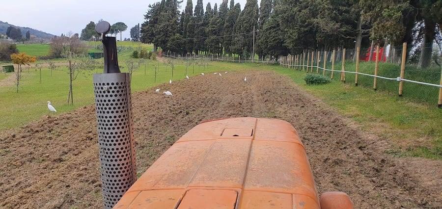 immagine annuncio 6 di 10