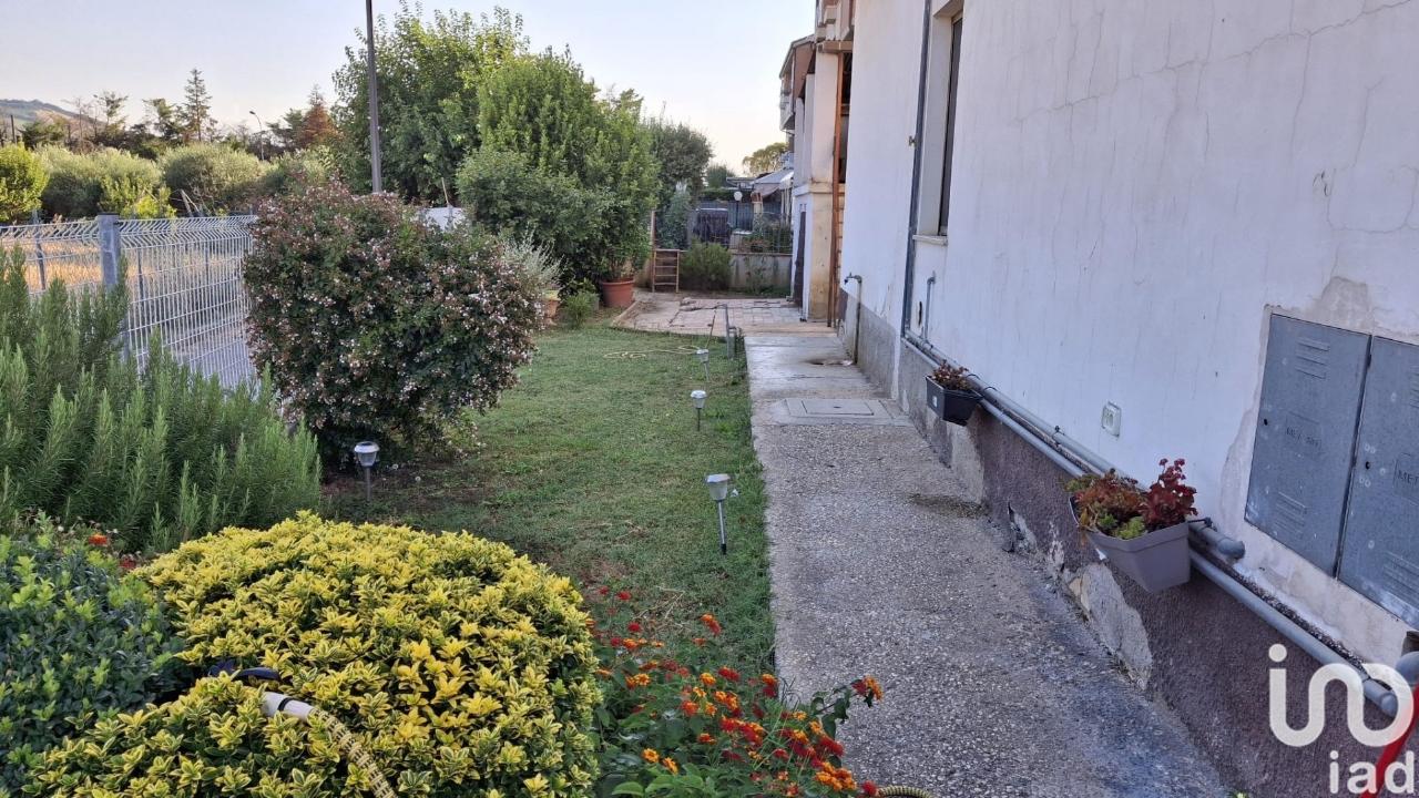 immagine annuncio 1 di 14