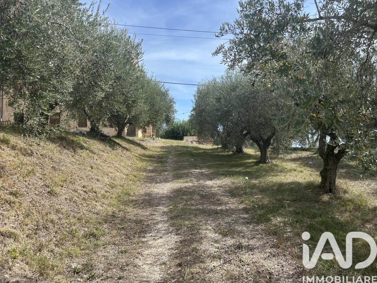 immagine annuncio 2 di 14