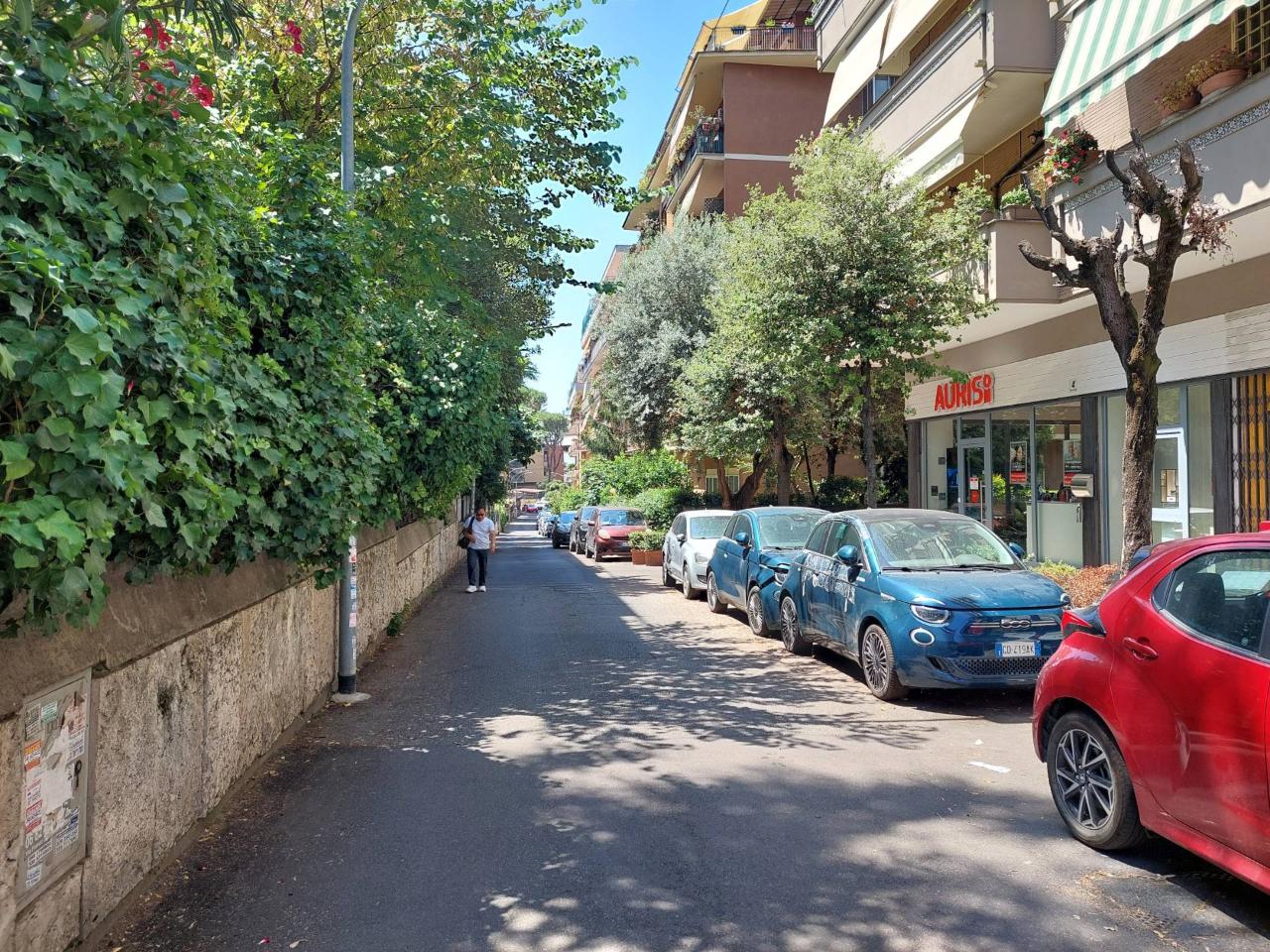 Negozio in Via Domenico Oliva 2a - 2b, Roma, {3} - Foto 1