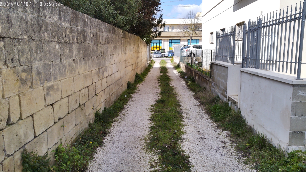 immagine annuncio 11 di 12