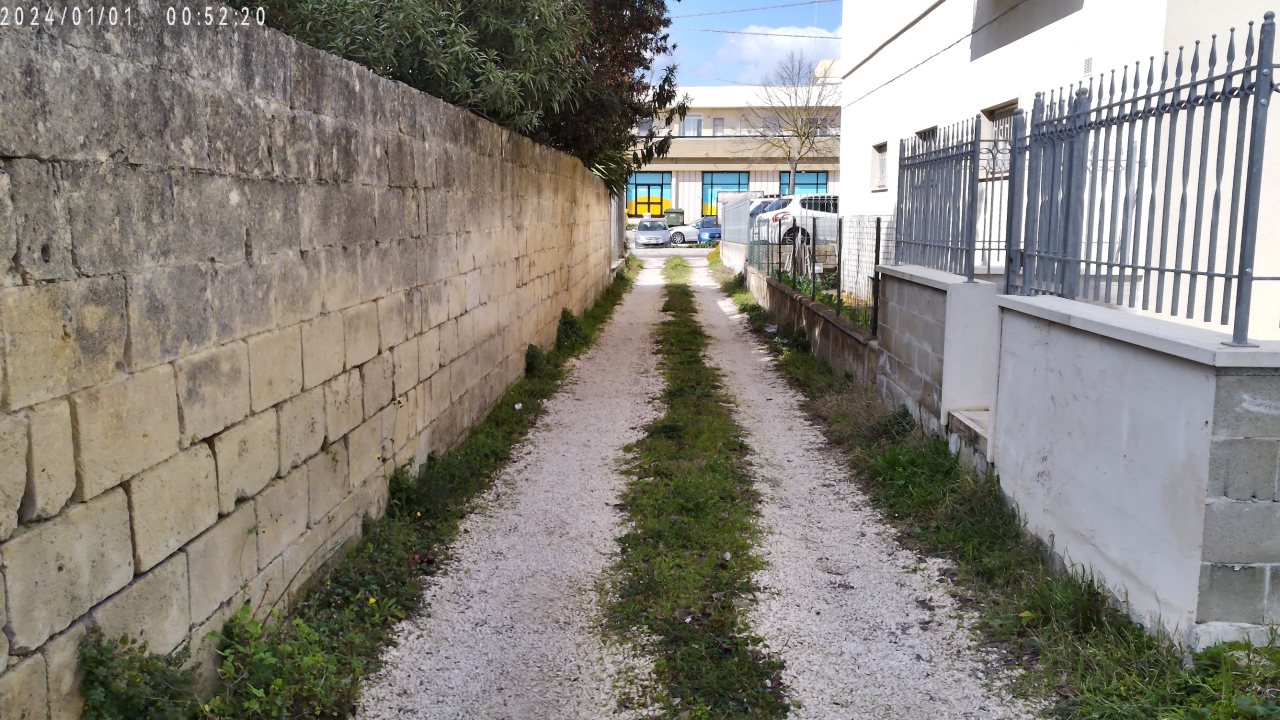 immagine annuncio 10 di 12