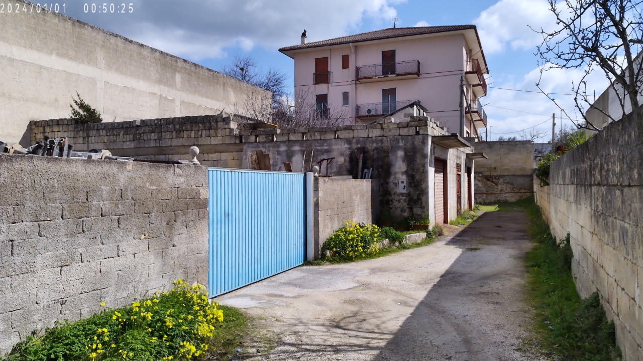 immagine annuncio 2 di 12