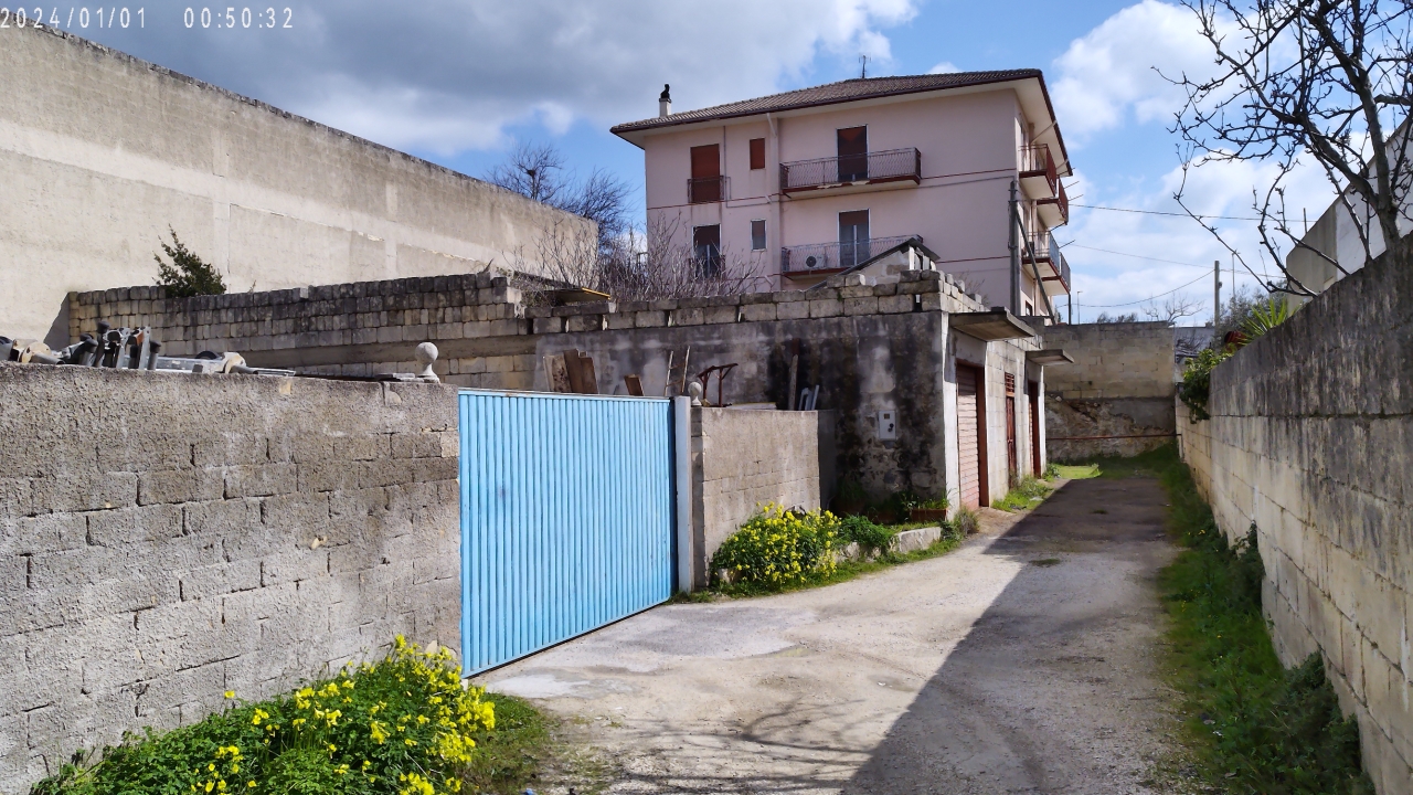 immagine annuncio 3 di 12