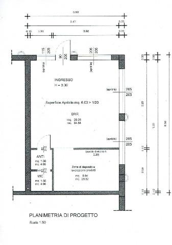 main planimetry real estate image