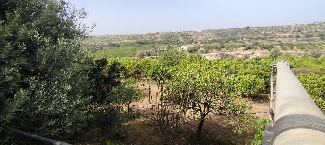 Terreno agricolo, Siracusa - Foto 1