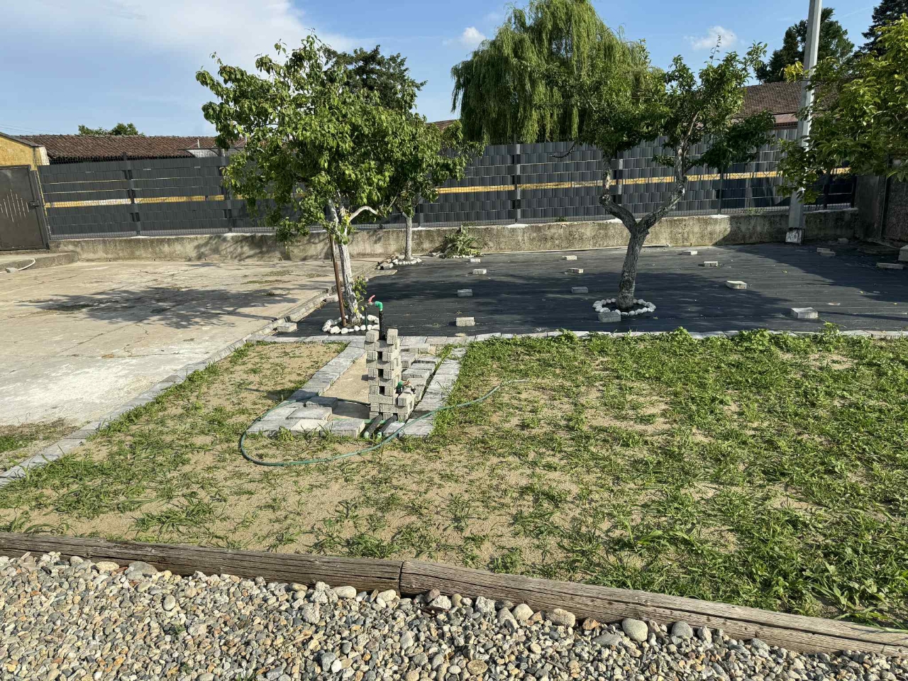 immagine annuncio 2 di 12