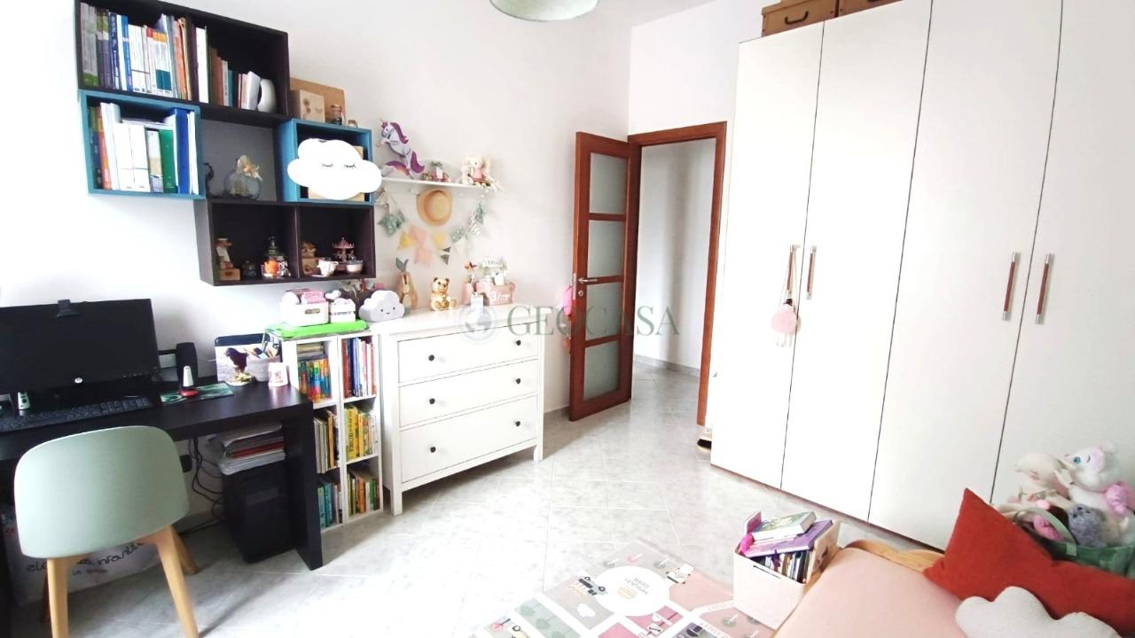 immagine annuncio 9 di 14