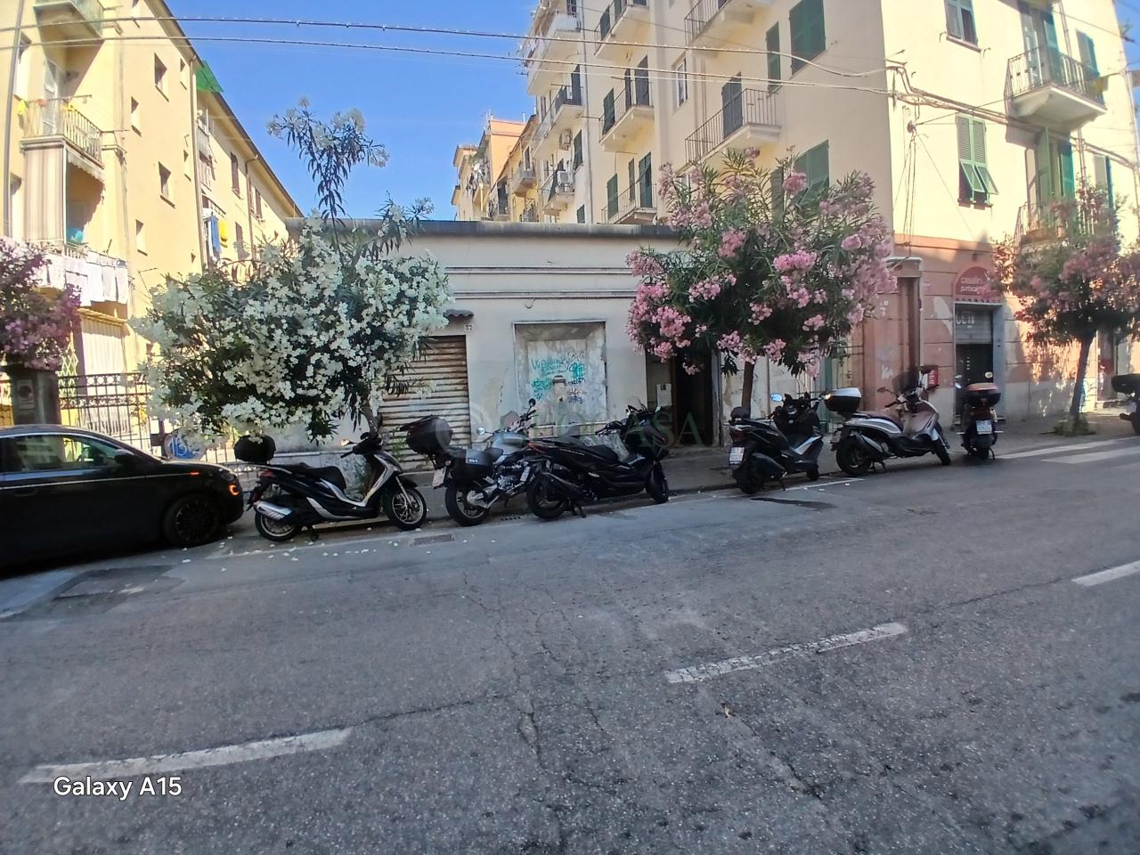 Capannone in , La Spezia, {3} - Foto 1