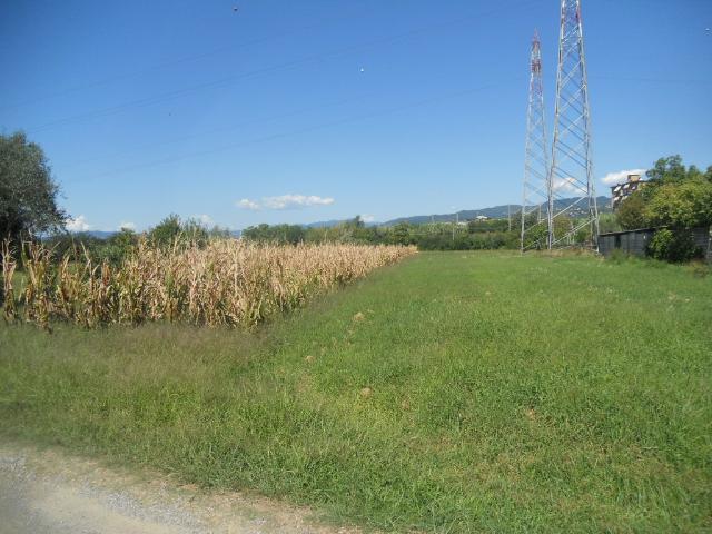 Agrargrundstück in Via Gragnola 36, Castelnuovo Magra - Foto 1