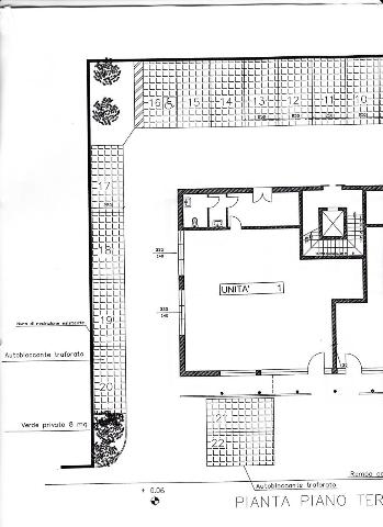 main planimetry real estate image