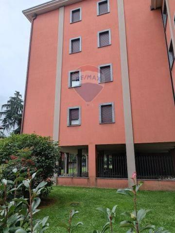 immagine annuncio 12 di 13