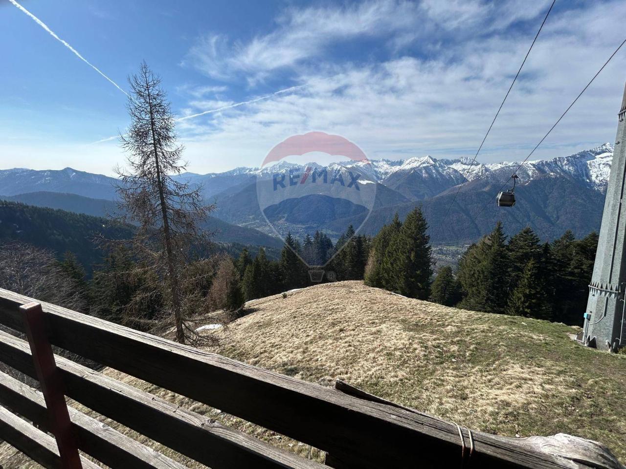 immagine annuncio 5 di 14