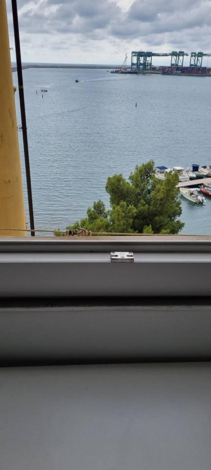 immagine annuncio 3 di 13