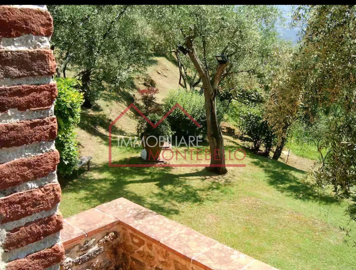 immagine annuncio 4 di 14