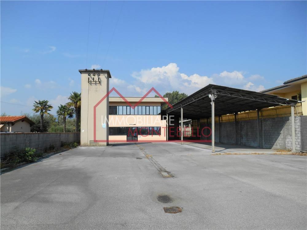 Capannone in , Capannori, {3} - Foto 2
