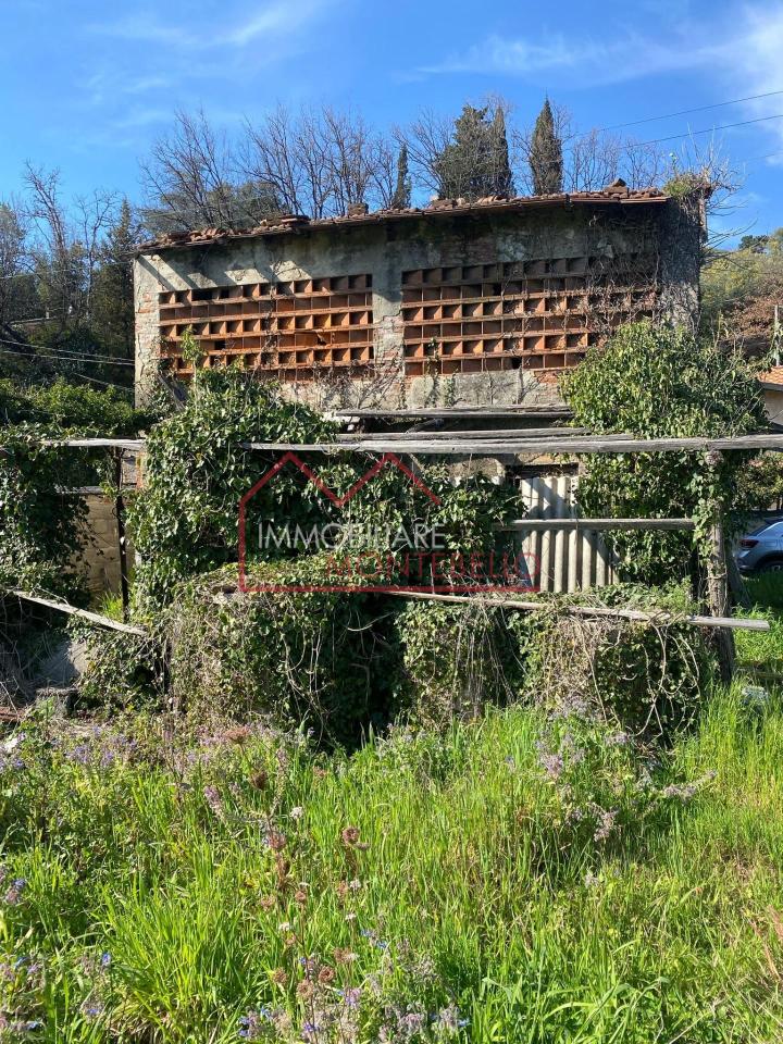 immagine annuncio 9 di 14