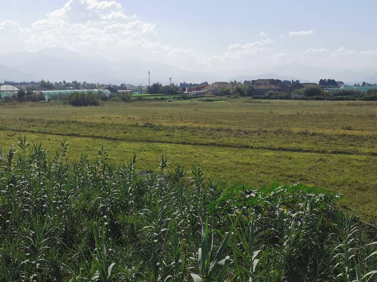 Terreno agricolo in vendita a Milazzo