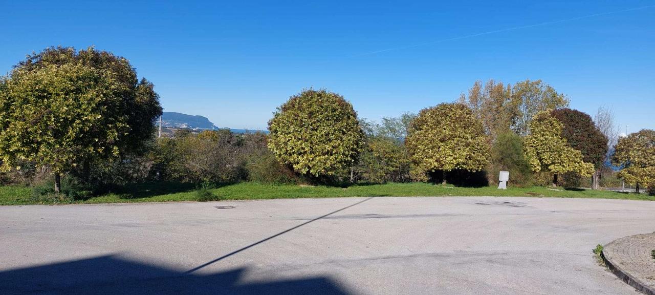 immagine annuncio 6 di 12