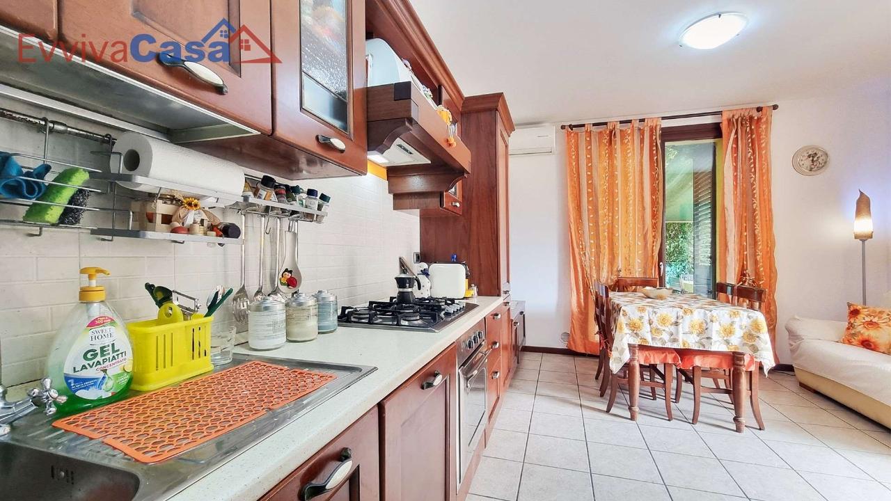 immagine annuncio 6 di 15