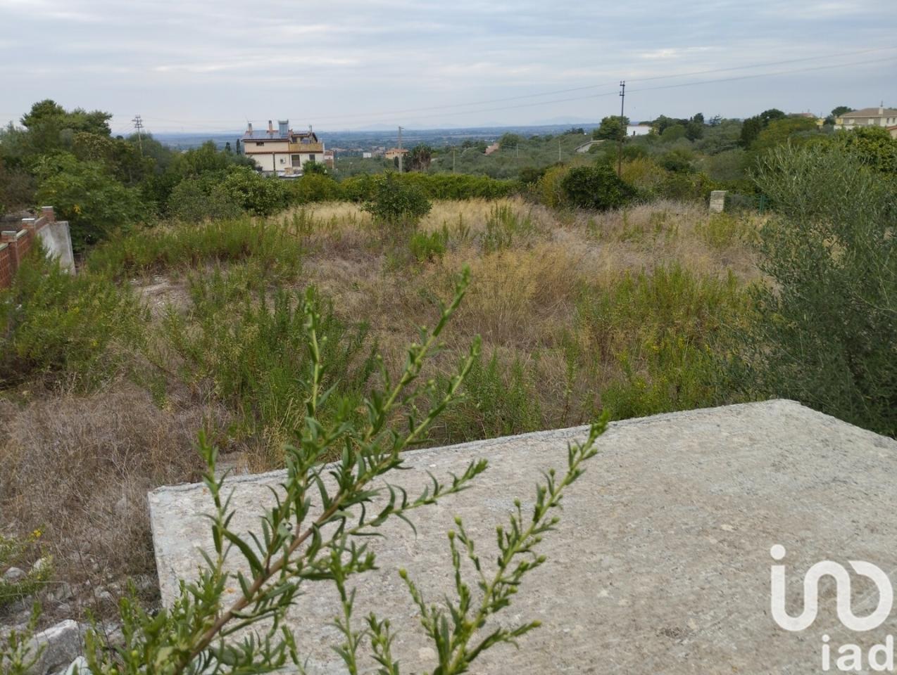 immagine annuncio 1 di 4