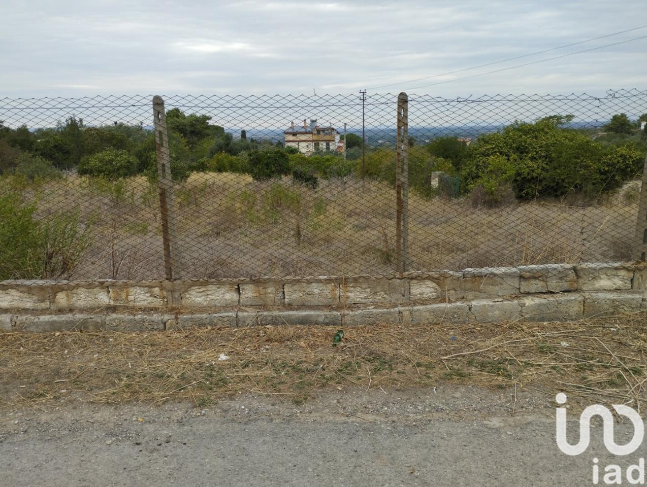 immagine annuncio 2 di 4