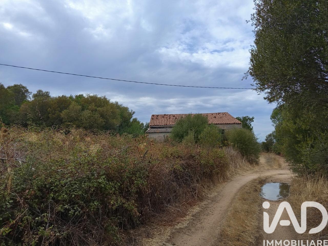 immagine annuncio 5 di 6