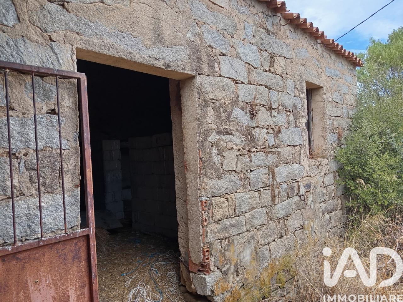 immagine annuncio 4 di 6