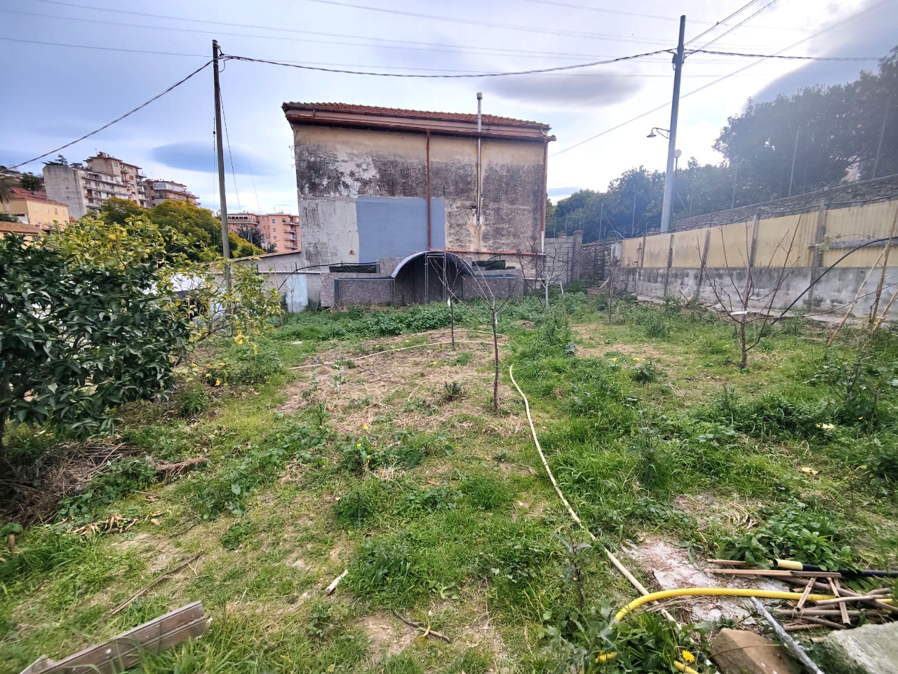 immagine annuncio 4 di 15