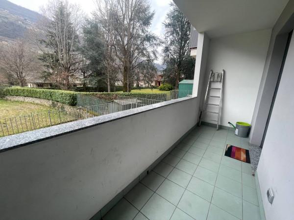 immagine annuncio 12 di 14
