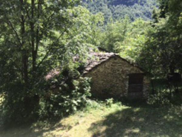 immagine annuncio 2 di 4