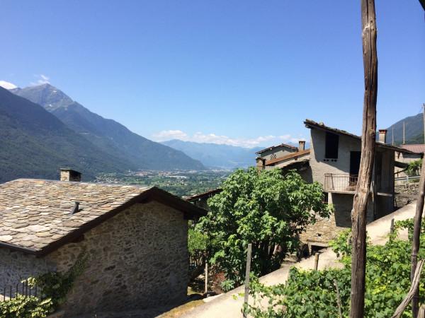 immagine annuncio 6 di 11