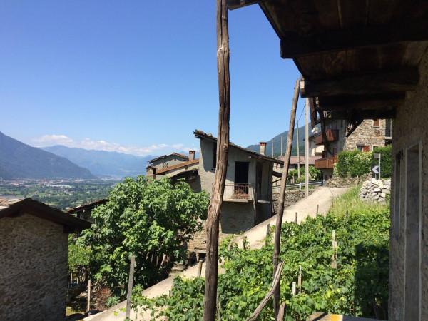 immagine annuncio 5 di 11