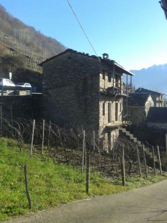 immagine annuncio 9 di 11