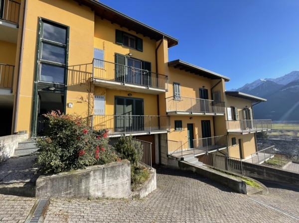 immagine annuncio 1 di 6