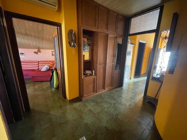 immagine annuncio 9 di 14