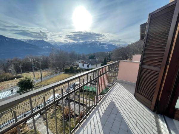 immagine annuncio 7 di 14